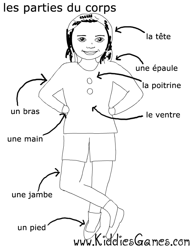 the body coloring pages - photo #7